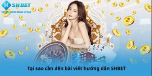 Tại sao cần đến bài viết HƯỚNG DẪN SHBET?
