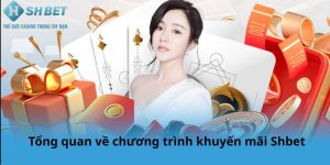 Tổng quan về chương trình khuyến mãi Shbet
