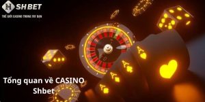 Tổng quan về CASINO Shbet – Thế giới giải trí đích thực