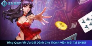 Tổng Quan Về Ưu Đãi Dành Cho Thành Viên Mới Tại SHBET