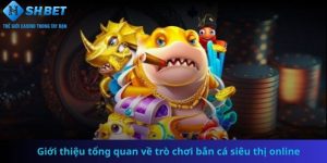 Giới thiệu tổng quan về trò chơi bắn cá siêu thị online