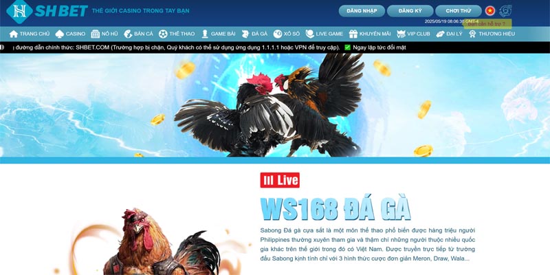 Đá gà online khiến nhiều hội viên mong chờ hiện nay